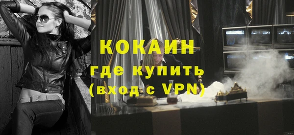 стаф Россошь